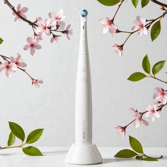 Die Nordental ProClean NP-120W ist eine elektrische oszillierende Zahnbürste