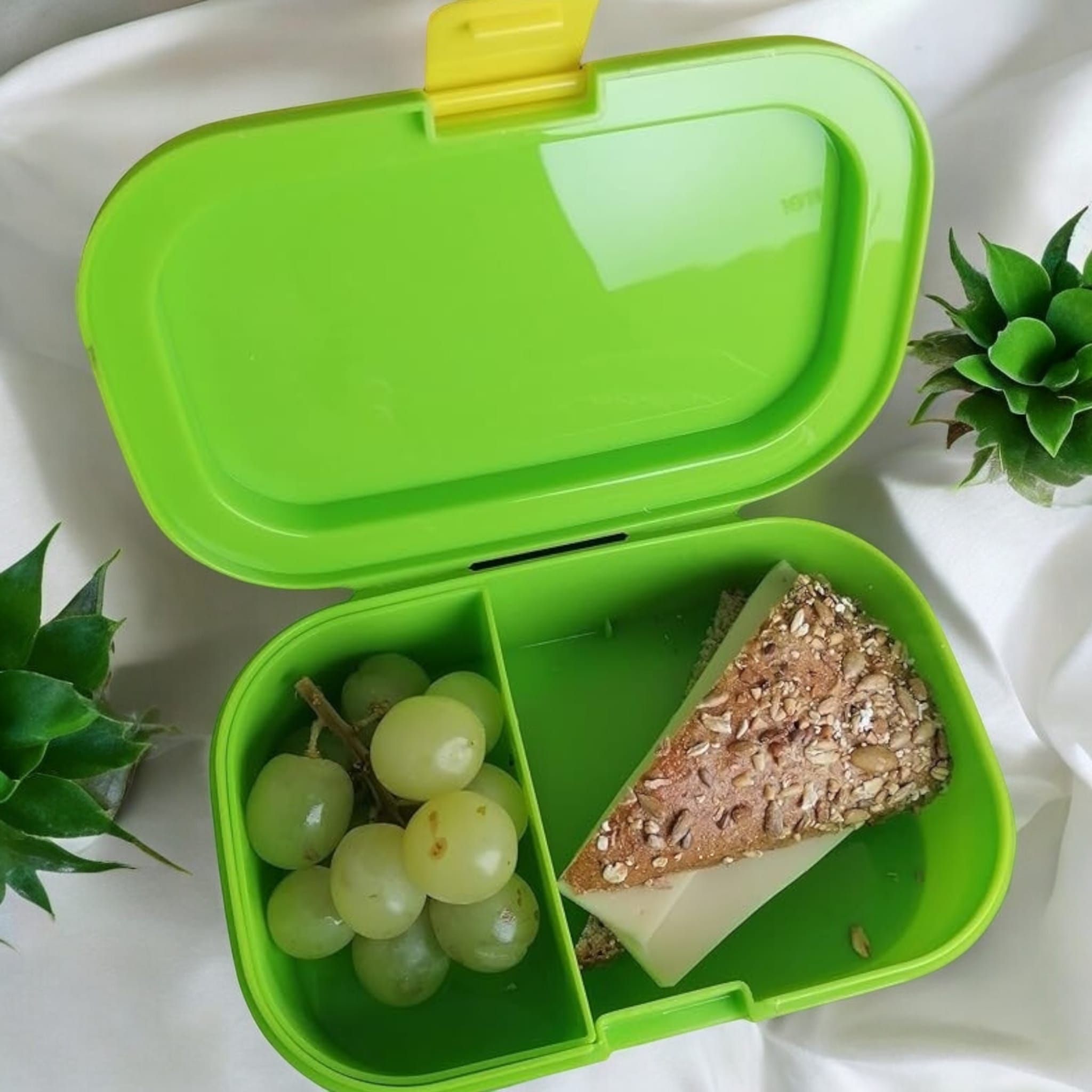 Lunchbox